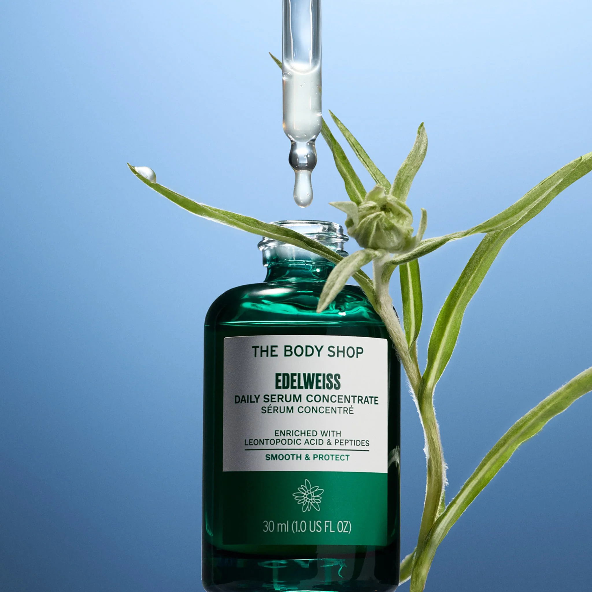 Edelweiss Daily Serum Concentrate - Image 5